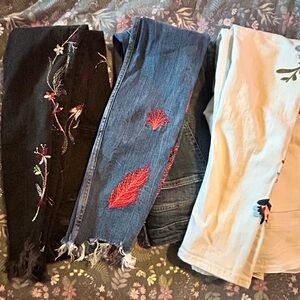 3  Zara Embroidered Women's Jeans Collection